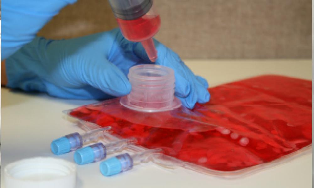 cell culture bag