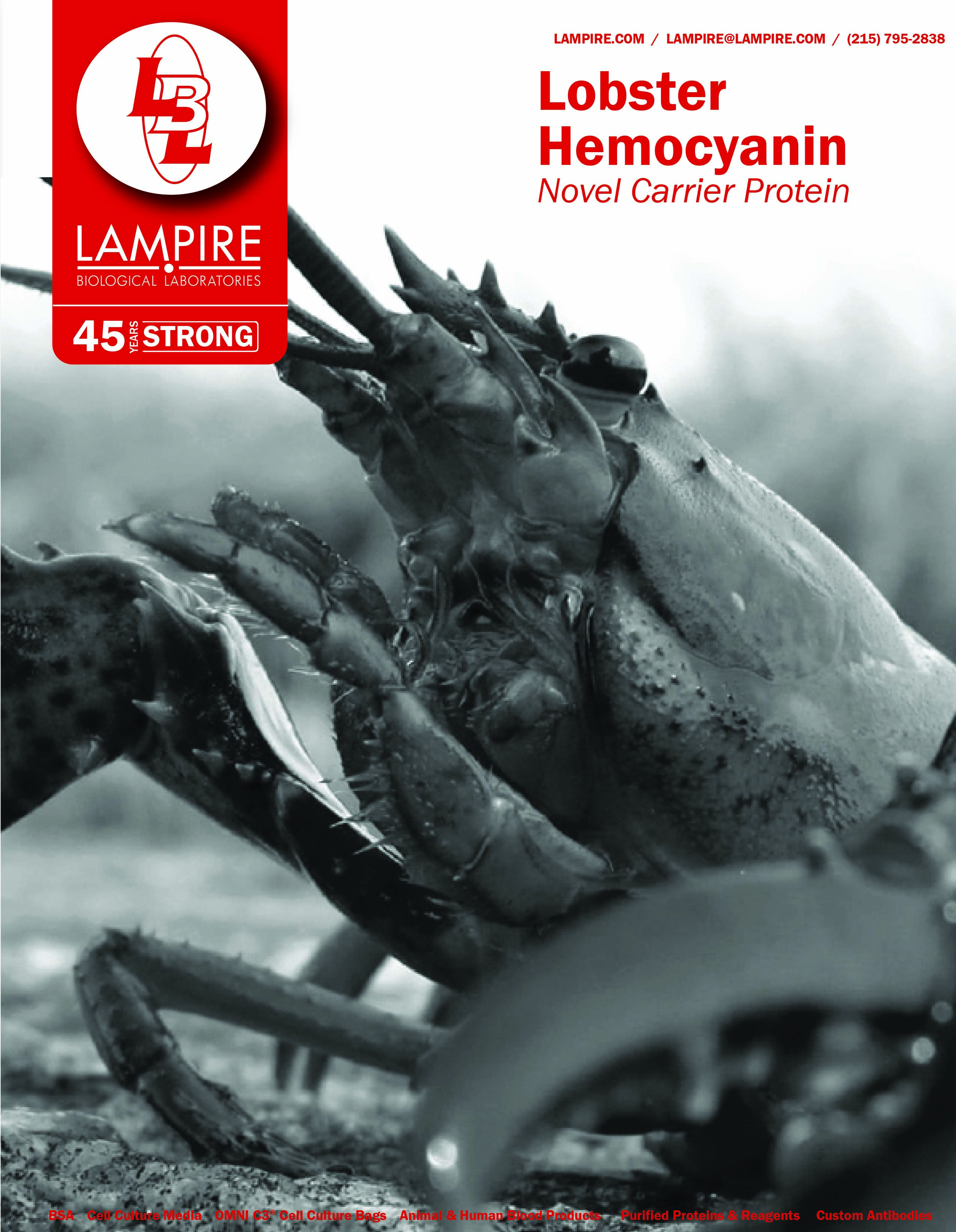 Lobster Hemocyanin