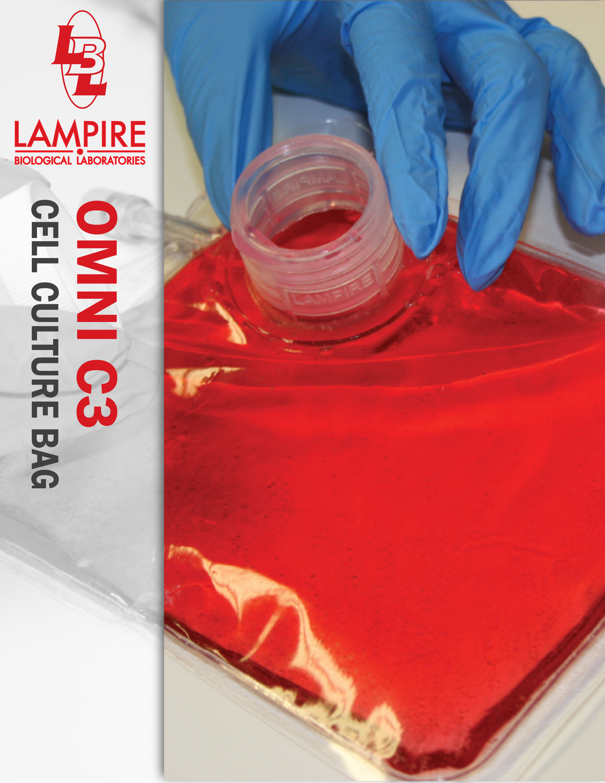 Cell Culture Bag