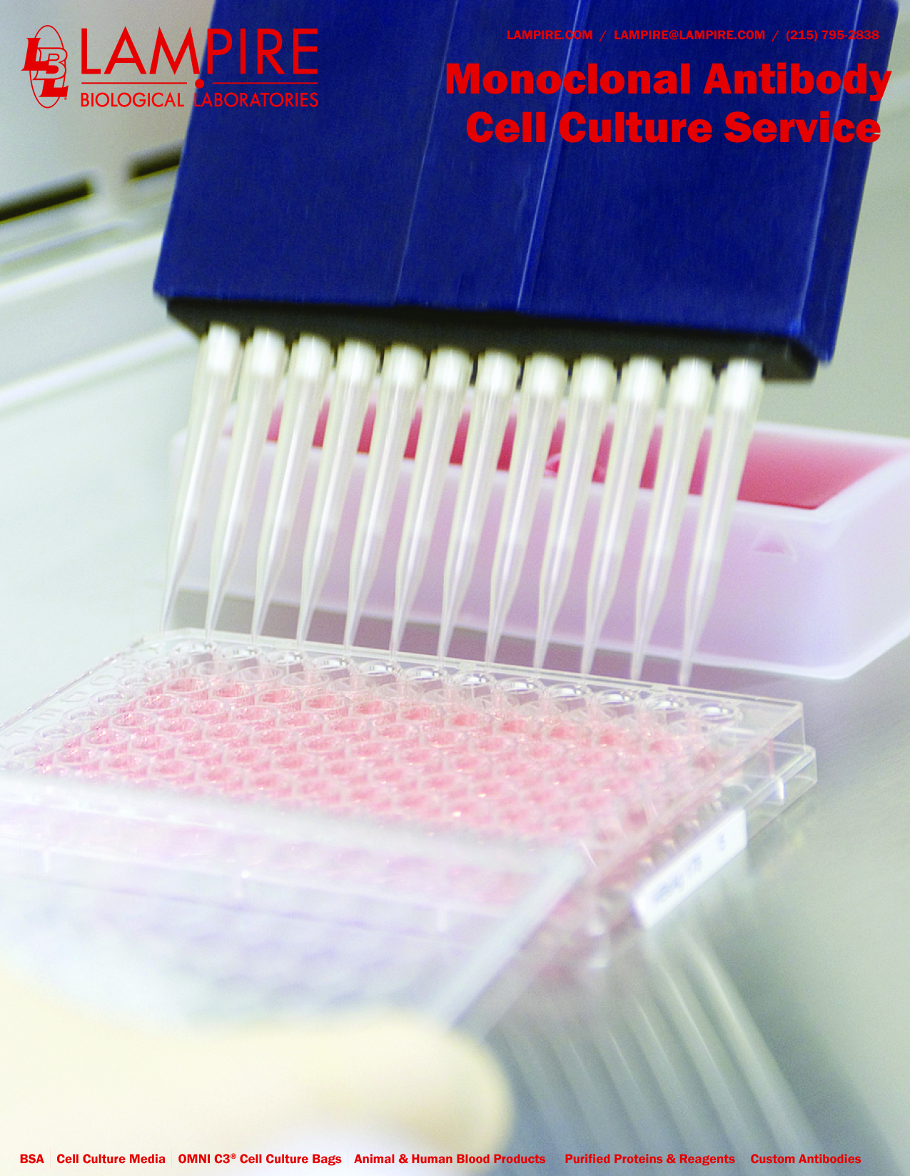 Cell Culture Service