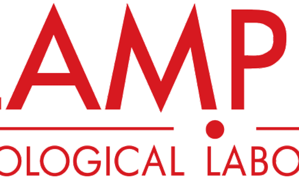 LAMPIRE Logo
